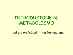 introduzione al metabolismo