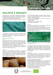 foglio informativo: malattie e parassiti