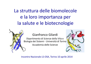 Gianfranco Gilardi - Accademia delle Scienze