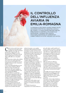 Il controllo dell`influenza aviaria in Emilia-Romagna