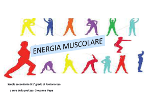 energia muscolare