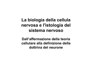 La biologia della cellula nervosa e l`istologia del