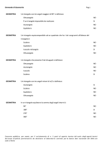 Domande di Geometria Pag 1 GEOMETRIA Un triangolo con tre