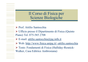 E - Dipartimento di Fisica