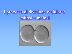 I Processi di divisione cellulare
