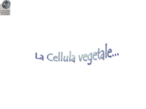 La cellula vegetale
