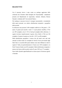 Documento PDF - Università di Padova
