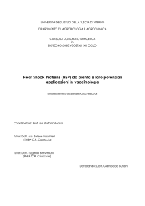 Heat Shock Proteins (HSP) da pianta e loro