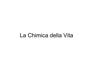 La Chimica della Vita