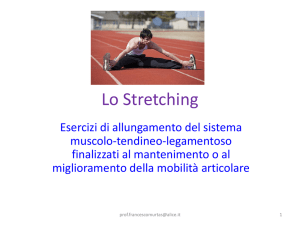 Lo Stretching - Liceo Classico Dettori