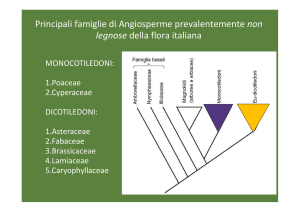 Lezione Poaceae e Fabaceae (Leguminosae) File