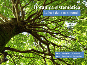 Botanica sistematica