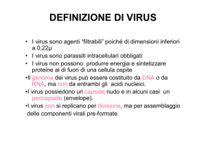 definizione di virus - Corso di Laure in Infermieristica
