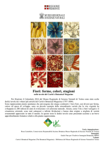 Fiori: forme, colori, stagioni - Museo Regionale di Scienze Naturali