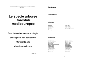 Le specie arboree forestali medioeuropee