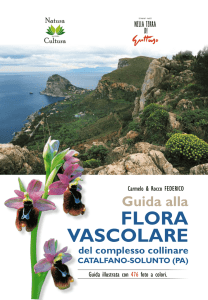 flora vascolare - Guidasicilia.it