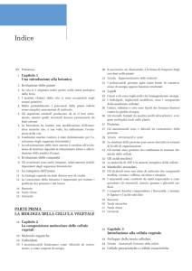 pdf scaricabile - Libreria Universitaria Ferrara