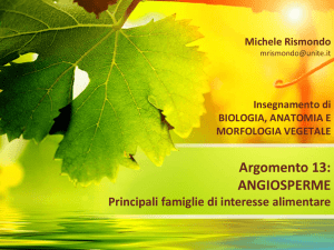 Angiosperme Famiglie (1) File - Progetto e