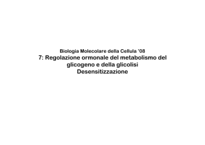 7: Regolazione ormonale del metabolismo del glicogeno e della