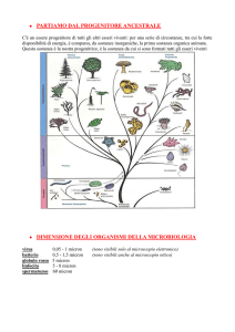 appunti di microbiologia