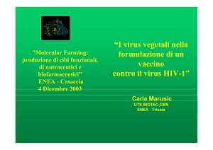 “I virus vegetali nella formulazione di un vaccino contro il virus HIV-1”