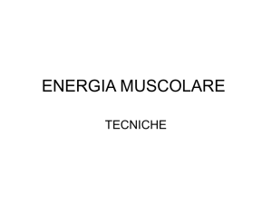 energia muscolare - Nuova Scuola di Osteopatia Treviso