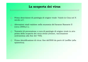 Virus: proprietà distintive