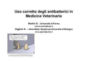 antibatterici - Bertini Zaghini