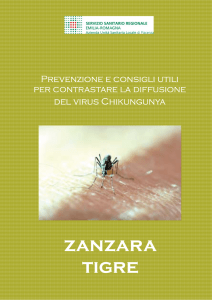 zanzara tigre - AUSL Piacenza