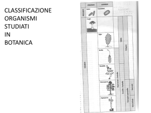 Diapositiva 1 - Filtrexx – Italia