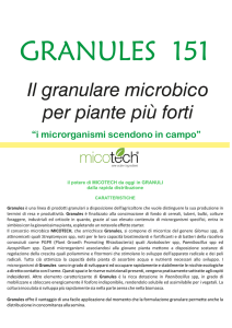 Il granulare microbico per piante più forti