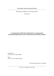 L`organizzazione dell`azione intenzionale e la