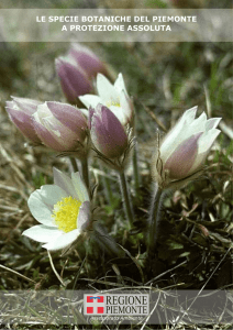 Le specie botaniche del Piemonte a protezione