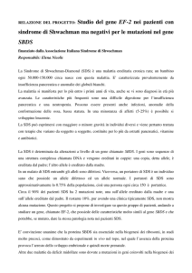 relazione progetto EF2 - Associazione Italiana Sindrome di