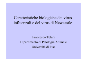 Caratteristiche biologiche dei virus influenzali