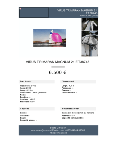 Barca: VIRUS TRIMARAN MAGNUM 21 ET38743