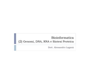 Genomi, DNA, RNA e Sintesi Proteica