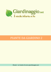 Piante da Giardino 2