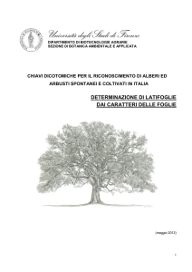 Chiavi determinazione Alberi - gruppo micologico fabrianese