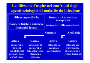 L` immunità nei confronti delle infezioni