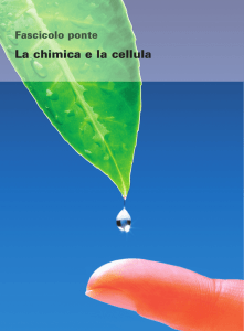 La chimica e la cellula - Zanichelli online per la scuola