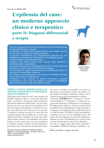 L`epilessia del cane: un moderno approccio clinico e