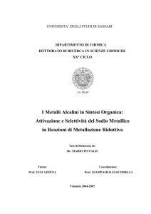 I Metalli Alcalini in Sintesi Organica: Attivazione e Selettività del