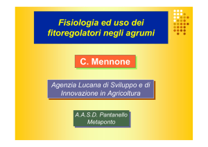 Cenni di fisiologia degli agrumi