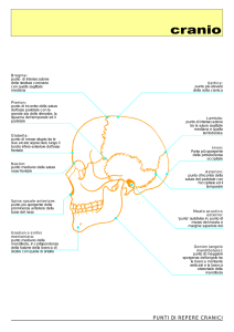 Cranio reperi - Area Radiologica