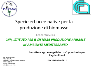 Specie erbacee native per la produzione di