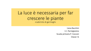 La luce è necessaria per le piante