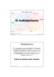 Il metabolismo - Giorgio Sartor