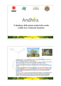 Il database delle piante endemiche sarde e delle loro - P-arch