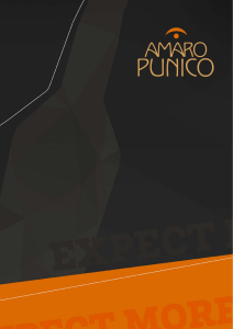 Untitled - Amaro Punico